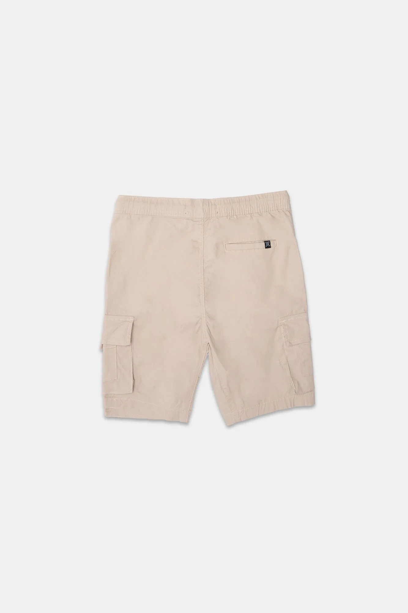 Arsenic Youth 9" Poplin Cargo Shorts